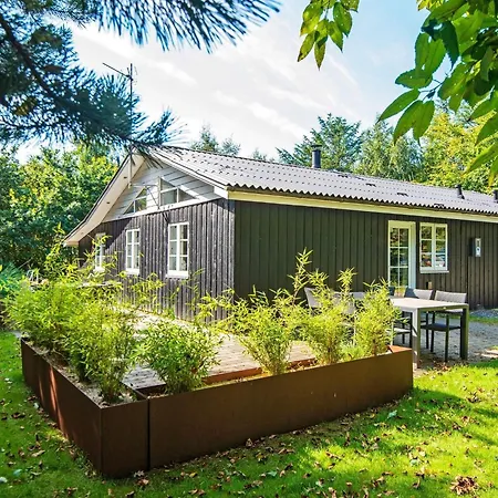 4 Star In * Ringkøbing