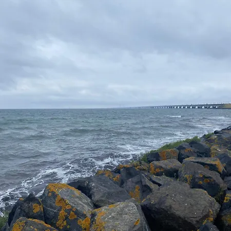 Feriehus 4 Star In Ringkøbing