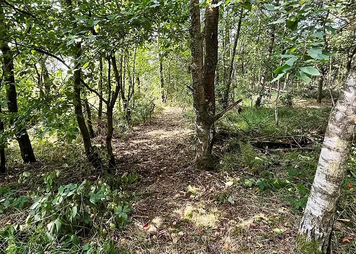 8 Person In Ringkøbing